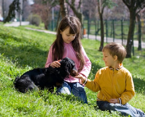 Children Playing At School Outside