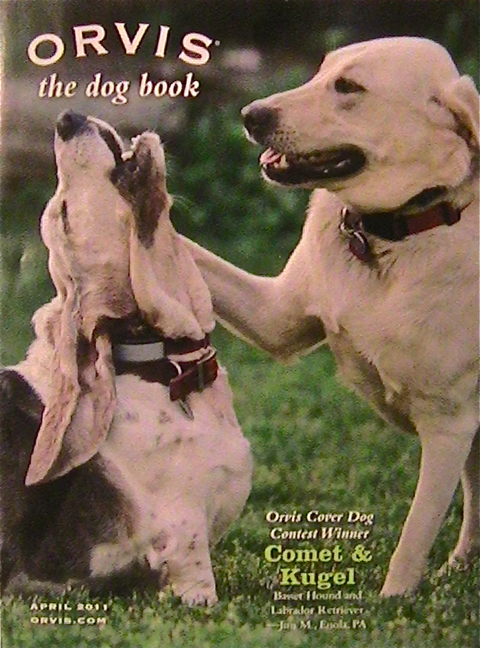 Dog Catalogs