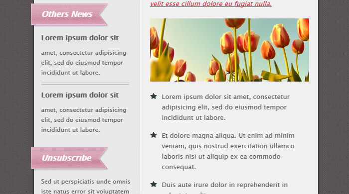 Html Email Newsletter Templates Free Download